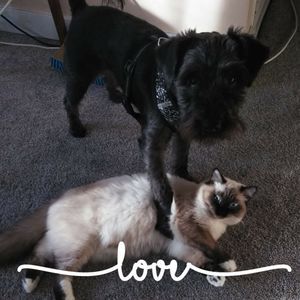 Meet your Posher, Christine